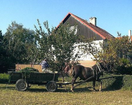 Platanus Bed & Breakfast Beckov Екстериор снимка