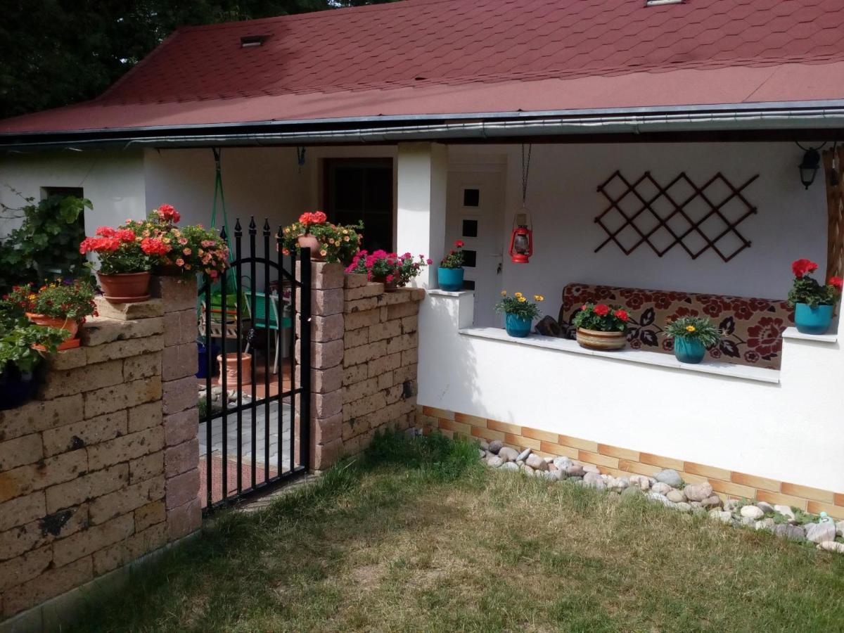 Platanus Bed & Breakfast Beckov Екстериор снимка