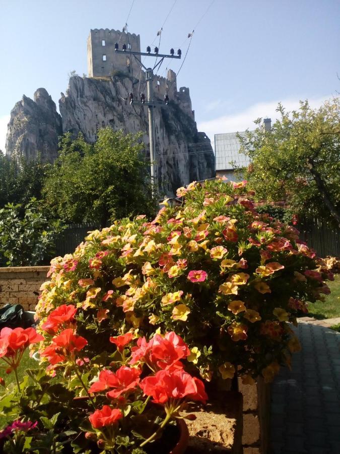 Platanus Bed & Breakfast Beckov Екстериор снимка