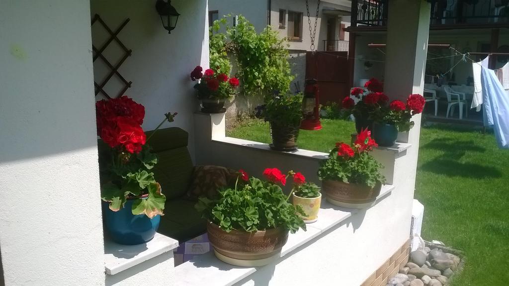Platanus Bed & Breakfast Beckov Екстериор снимка
