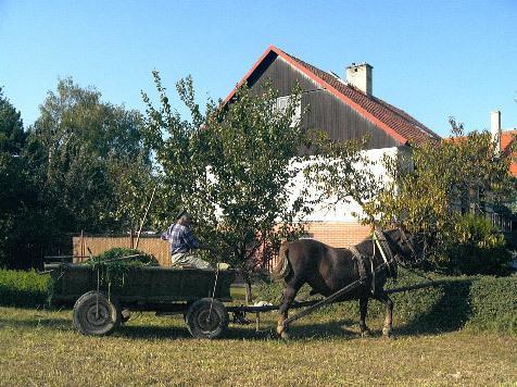 Platanus Bed & Breakfast Beckov Екстериор снимка